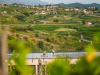 goriska_brda